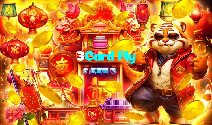 available types of 3Card Fly bet including pre-match live express and system bets